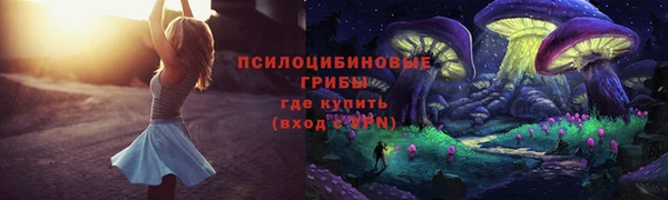 шишки Алексин