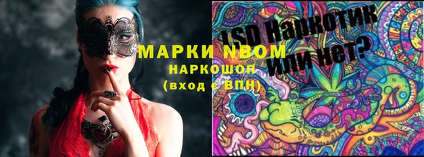 шишки Алексин