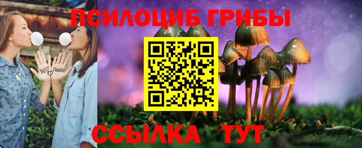 Псилоцибиновые грибы GOLDEN TEACHER  Вход с VPN  Галлюциногенные грибы Cubensis  Старый Оскол 